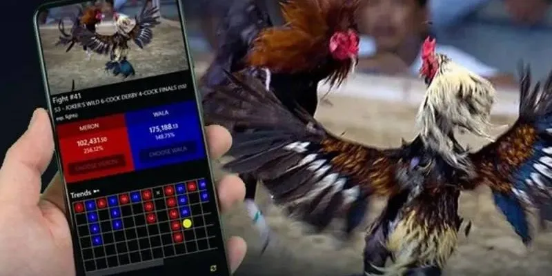 Xem chọi kê tiện lợi, dễ thao tác